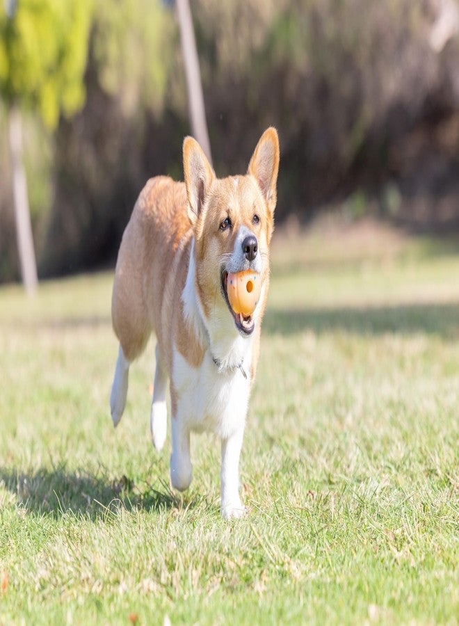 Chuckit! Birthday Fetch Ball, Medium (2.5 Inch Diameter), for Dogs 20-60 lbs, Pack of 1 - Image 4